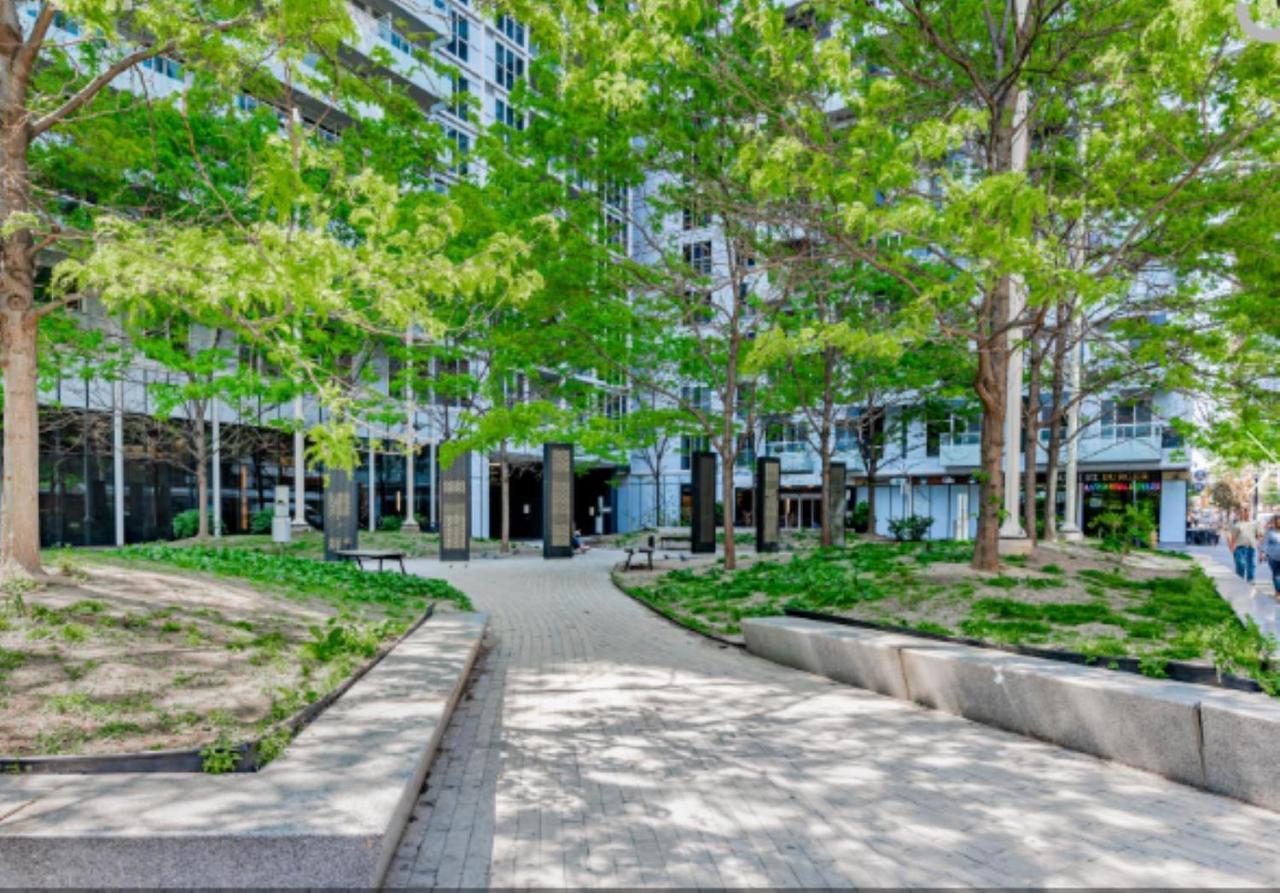 Executive 2 Beds Near Cn Tower, Rogers Centre, Scotia Area, Business District, Entertainment District, Lakeshore Toronto Zewnętrze zdjęcie